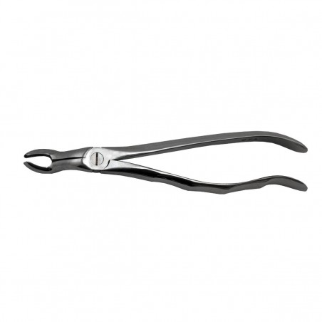 Cleste Extractie al Treilea Molar Superior 67A Prima