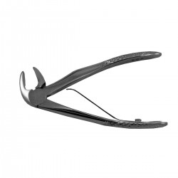 Cleste Radacini Inferioare Copii Nr 567 Prima