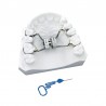 Surub disjunctie palatinal cu arcuri Memoria Leaf 10mm 3 arcuri 800g Leone