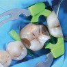 myTines GO Refill 6 perechi Polydentia