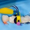 myTines junior Refill 15 perechi Polydentia