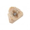 Mini-surub disjunctie 4 brate Hybrid Mode Expander 6mm 600g Leone