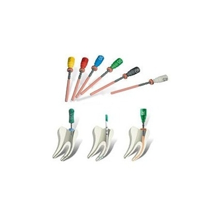Thermafill Obturators Maillefer 25mm