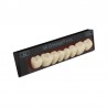 Orthotyp S DCL set 8 dinti posteriori L N4L A3 Ivoclar