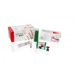 GC EQUIA Forte HT Intro Pack