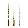 ProTaper Ultimate Shaper 31mm 6 ace Dentsply