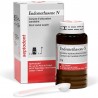 Endomethasone N 14g Septodont