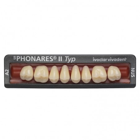 Dinti posteriori Phonares II Typ Set 8 bucati LNL6 Ivoclar