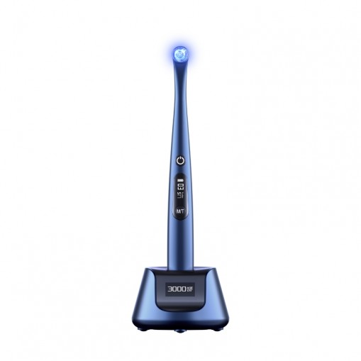 Lampa foto X-Star Woodpecker