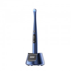 Lampa foto X-Star Woodpecker