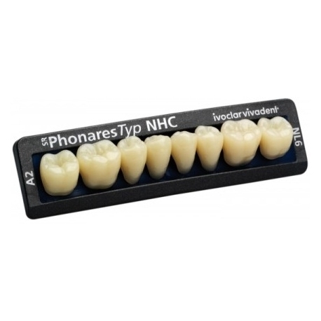 Dinti Phonares Ii Posterior Set 8