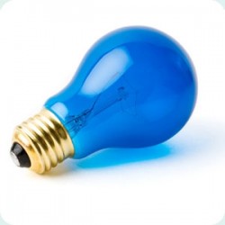 Bec Steplight