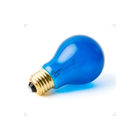 Bec Steplight