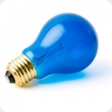 Bec Steplight