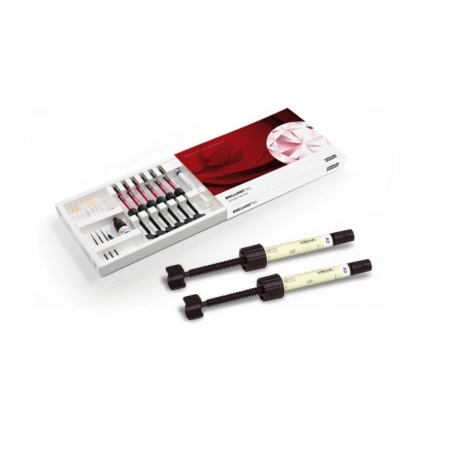 Brilliant Intro Kit Ng 6x4g Cu Ghid De Culori Coltene