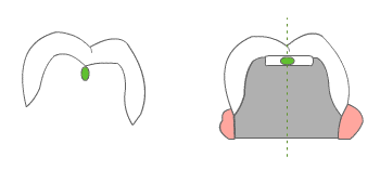 01_concept_wk_dissociation.gif?1506966325659