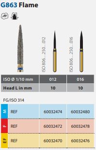 G863 Flame.JPG
